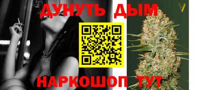 Альфа ПВП Бийск